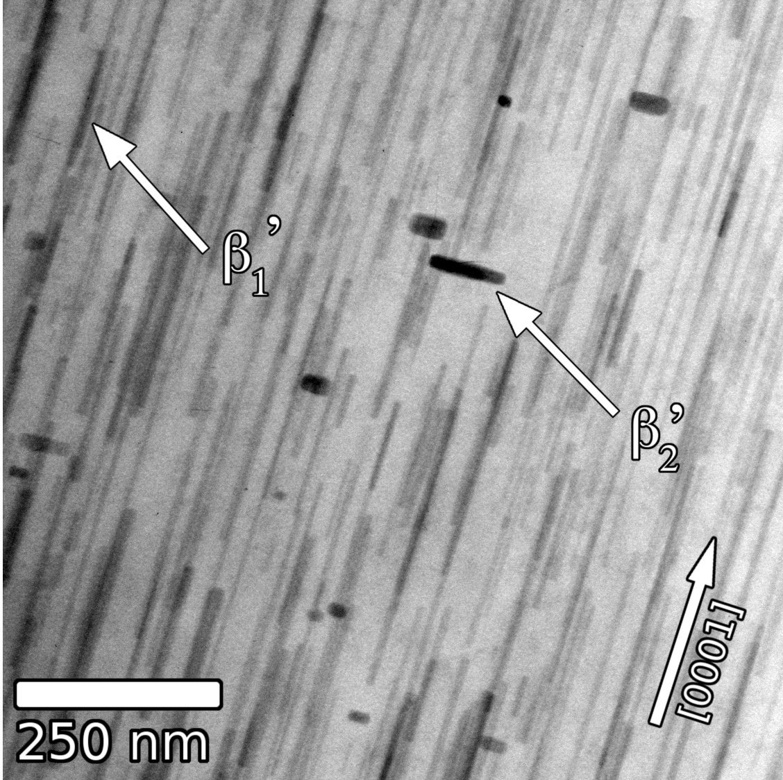 TEM of rodlike precipitates in MgZn