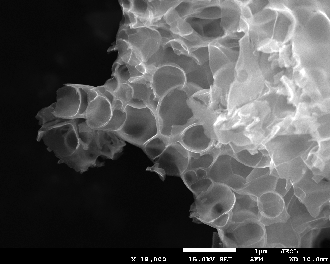 SEM image of one of the ORR catalysts. Image courtesy of Zoe Schnepp