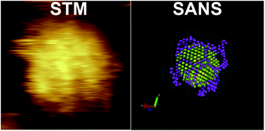 STM image of "stripy nanoparticles" and structure retrieved from SANS data. Reproduced from DOI: 10.1039/C3SC52595C with permission requested from The Royal Society of Chemistry on November 15, 2014.
