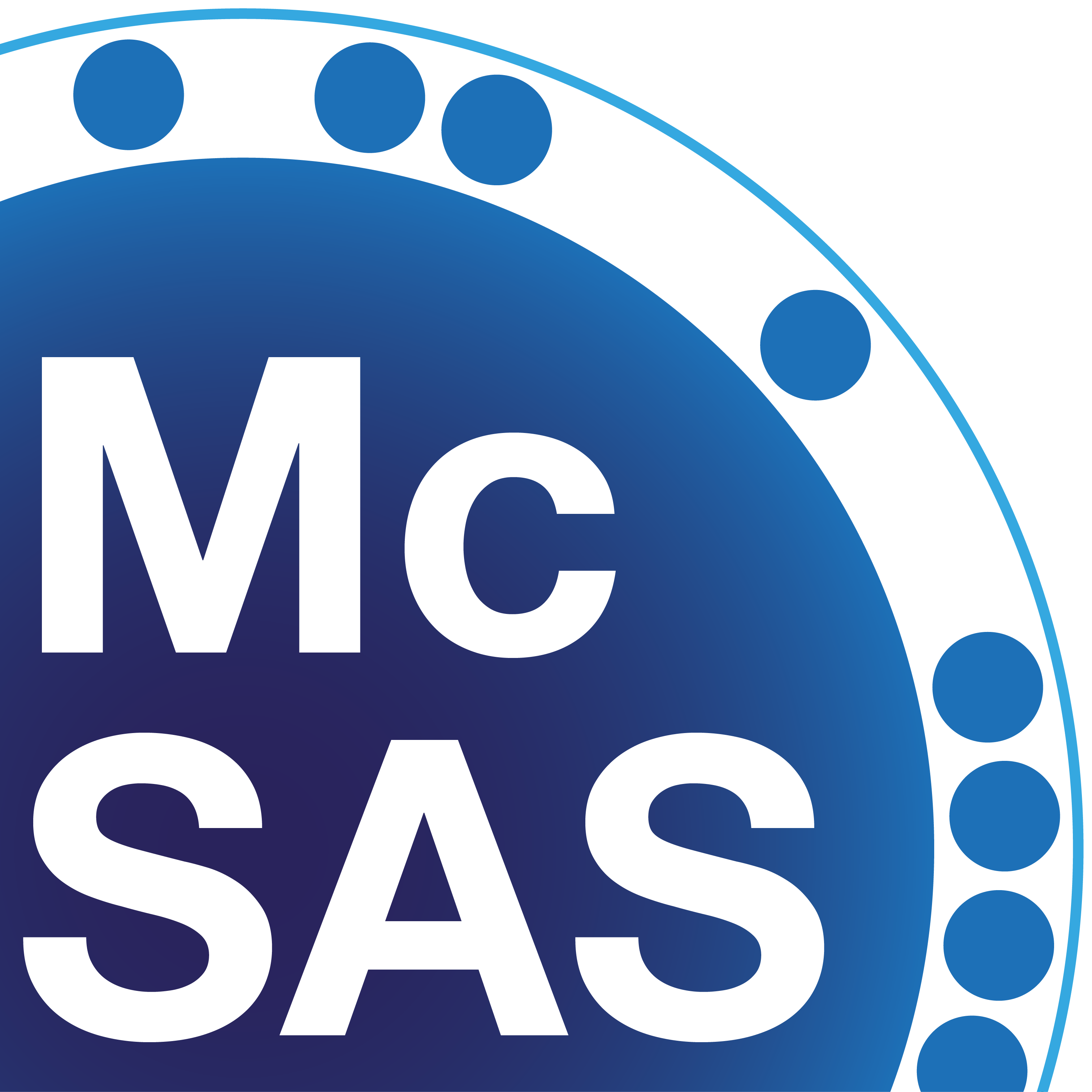 Logo of the McSAS program version 1.0