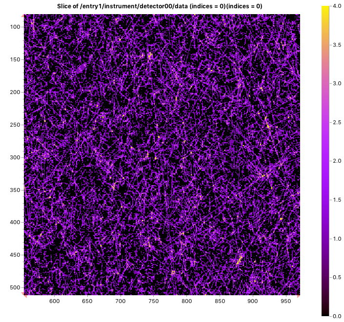 Zoomed-in area on an Eiger detector showing cosmic rays collected over 12h.