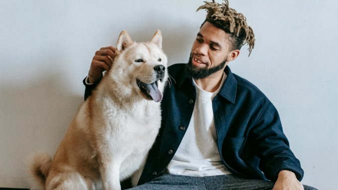 black man patting adorable funny akita inu dog