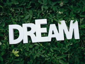 dream text on green leaves