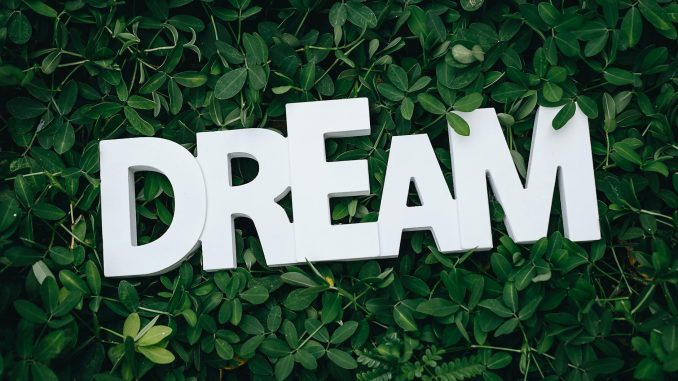 pexels-photo-1535907 dream text on green leaves