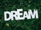 dream text on green leaves